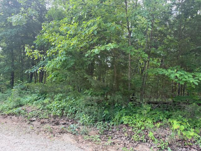 Land for sale in Kissee Mills, Missouri