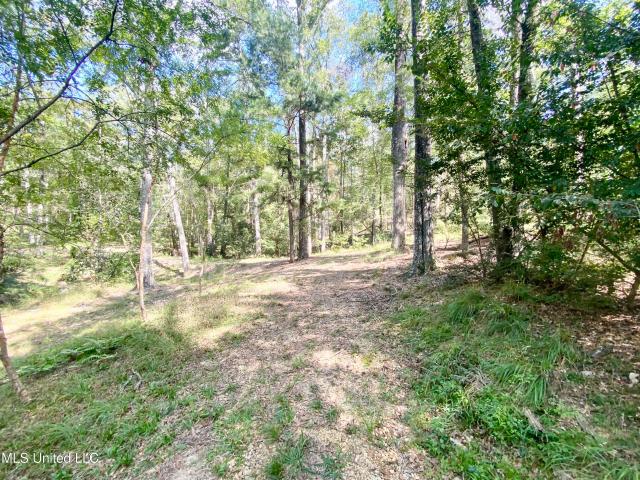 Land for sale in Hazlehurst, Mississippi