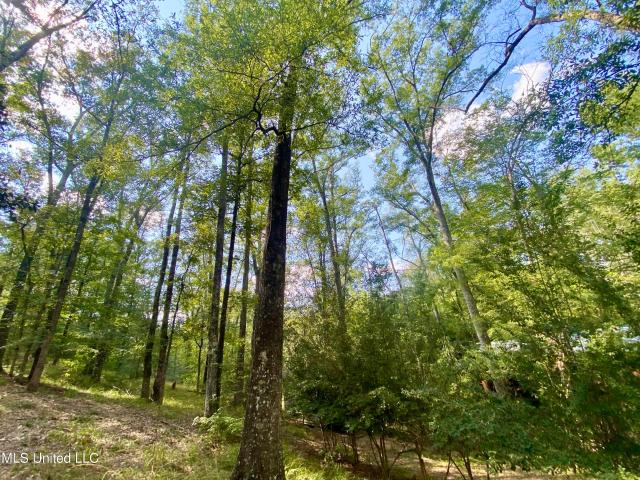 Land for sale in Hazlehurst, Mississippi