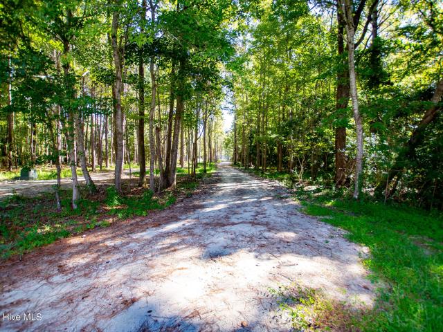 Land for sale in Oriental, Pamlico County