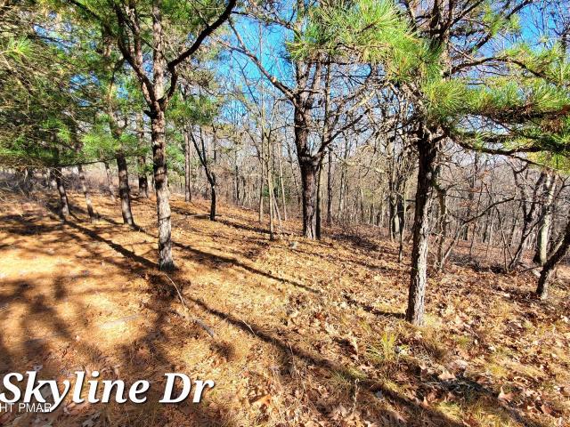 Land for sale in Lehman Township, Pike County
