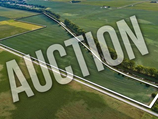 Land for sale in Pocahontas, Iowa