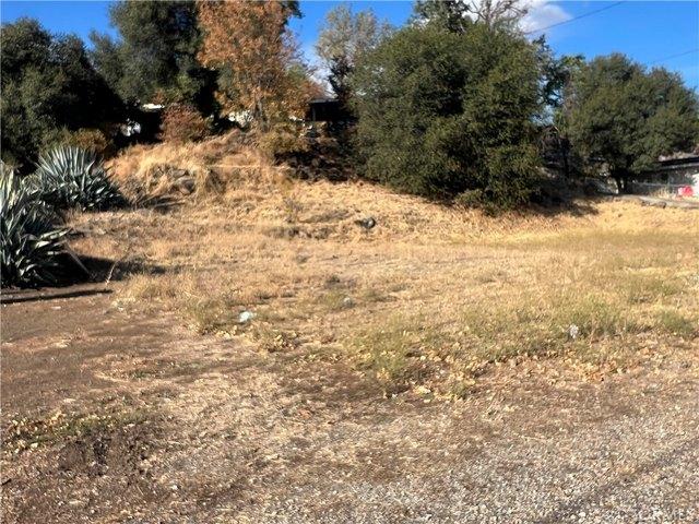 Land for sale in Lake, California