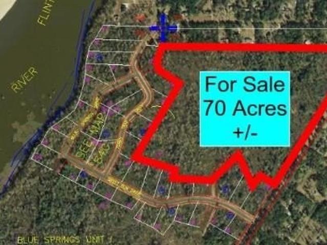Land for sale in Bainbridge, Georgia