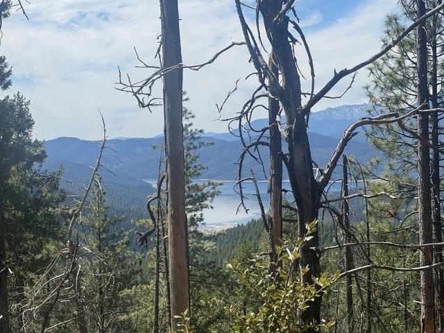 Land for sale in Trinity Center, California