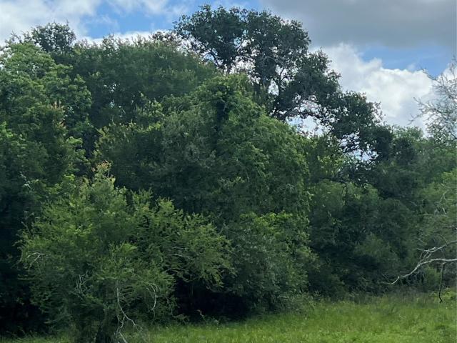 Land for sale in Needville, Fort Bend County