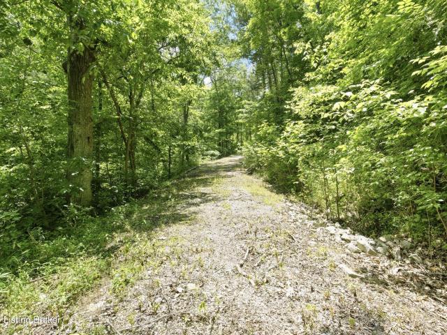 Land for sale in Bedford, Trimble County