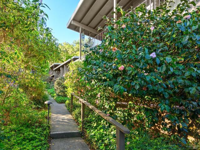 Property for sale in Corte Madera, California