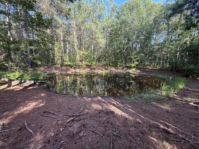House for sale in Alabama