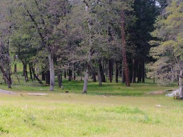 Land for sale in California
