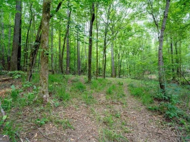 Land for sale in Greensboro, Georgia