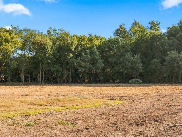 Land for sale in Clifton, Bosque County