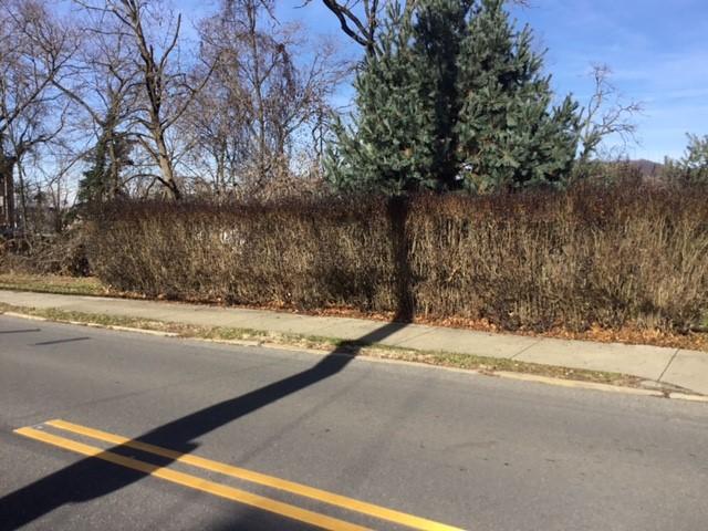 Commercial Land for sale in Coraopolis Commercial Land for sale in Coraopolis