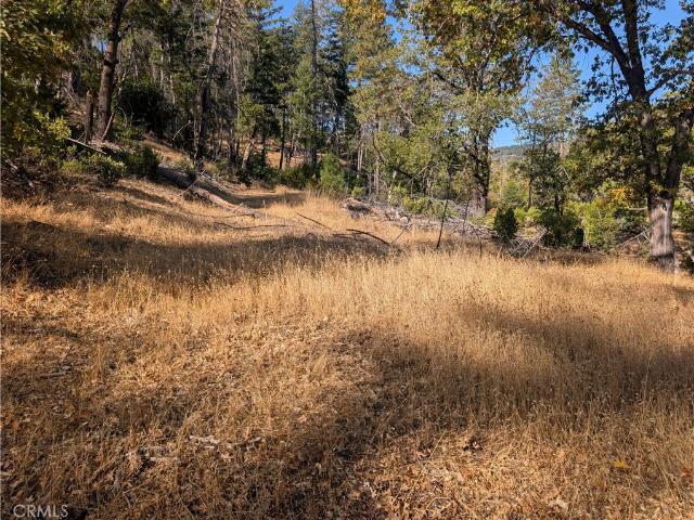 Land for sale in Ettawa Springs, Cobb