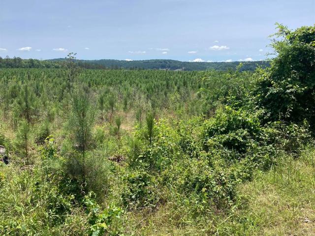Land for sale in Ark