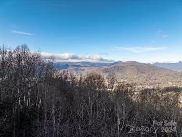House for sale in Asheville