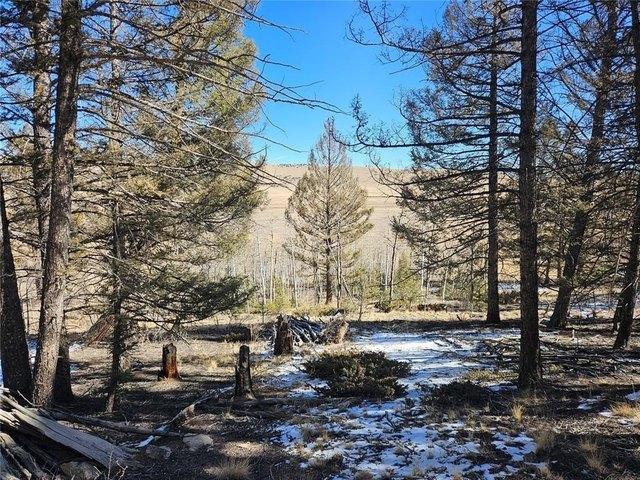 Land for sale in Fairplay, Colorado