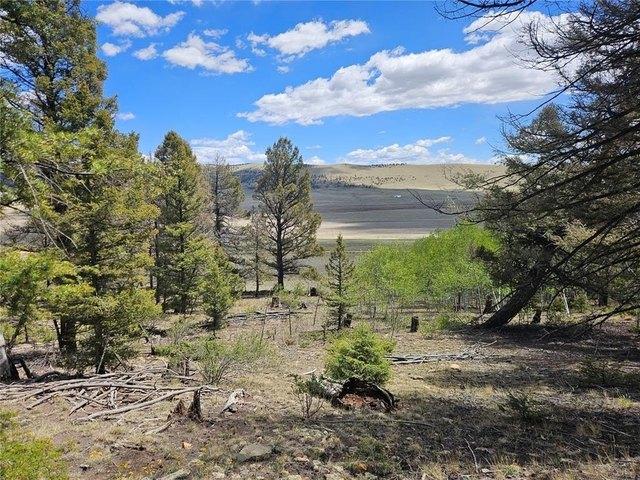 Land for sale in Fairplay, Colorado