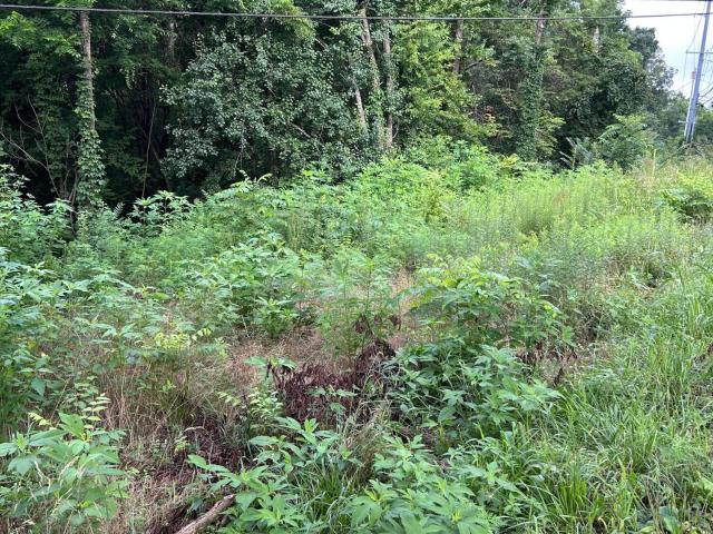 Land for sale in Glen Arden-Canby Hills-West Forest, Knoxville