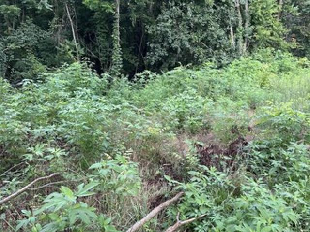 Land for sale in Cedar Bluff, Knoxville