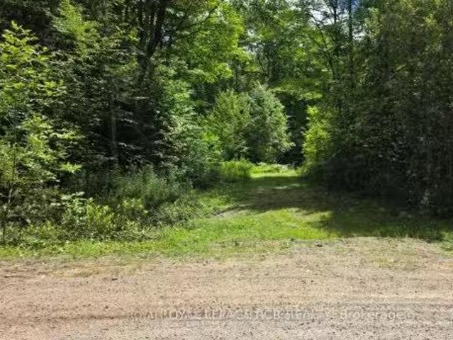House for sale in North Kawartha, Ontario