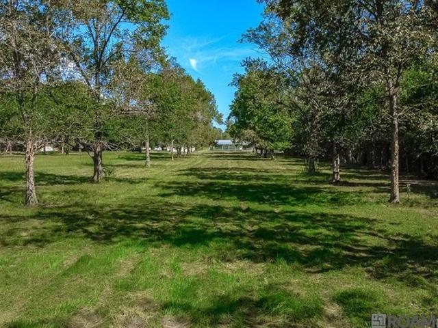 Land for sale in Gonzales, Ascension Parish