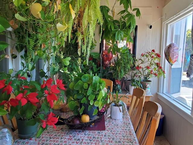 House for sale in San Francisco, California