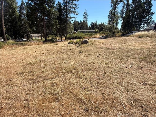 Land for sale in Butte, California
