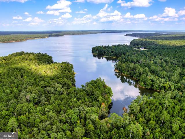 Land for sale in Tignall, Georgia