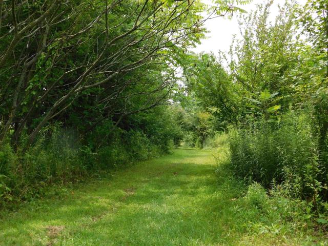 House for sale in Warsaw, Indiana