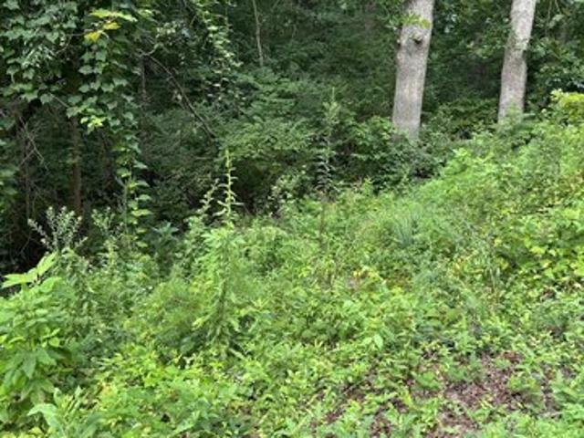 Land for sale in Cedar Bluff, Knoxville
