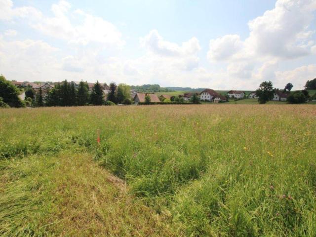 Immobilie kaufen in Raab, Oberösterreich