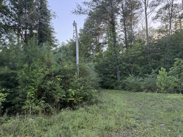 Land for sale in Rossville, Georgia