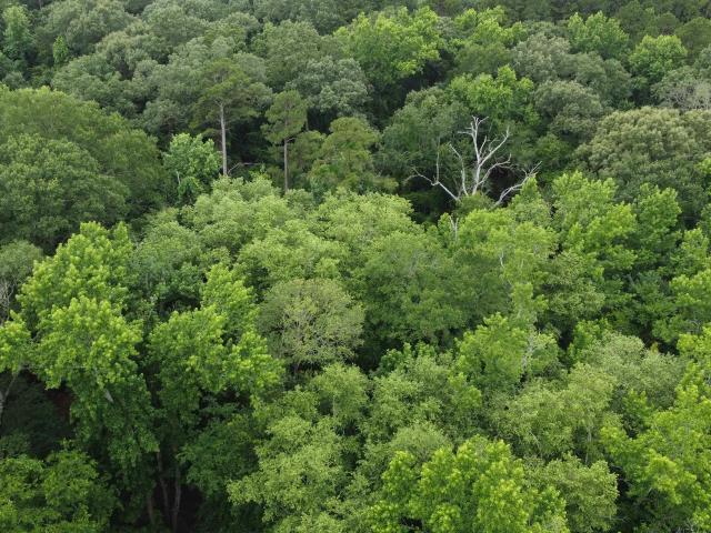 Land for sale in Wood, Texas