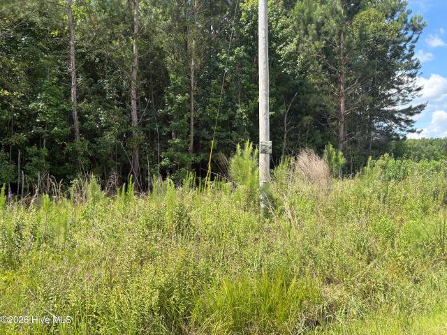 Land for sale in Whiteville, North Carolina