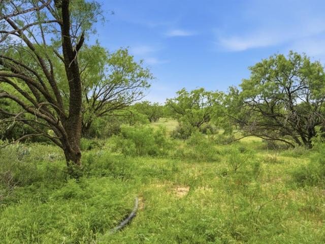 Land for sale in Moran, Texas