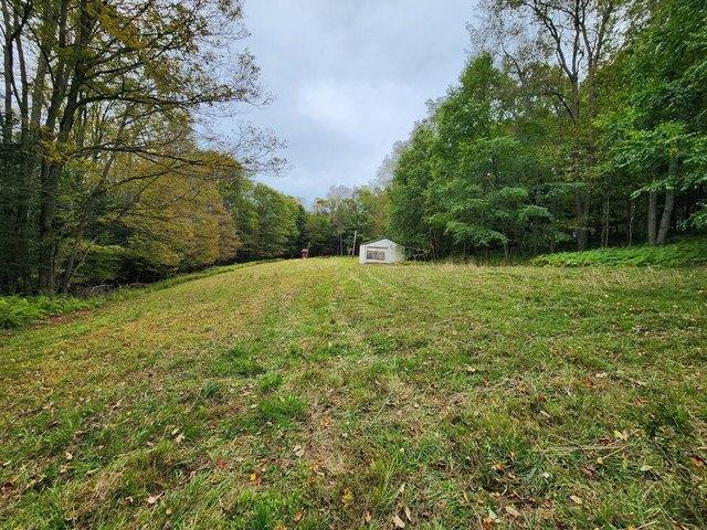 Land for sale in Coudersport, Potter County