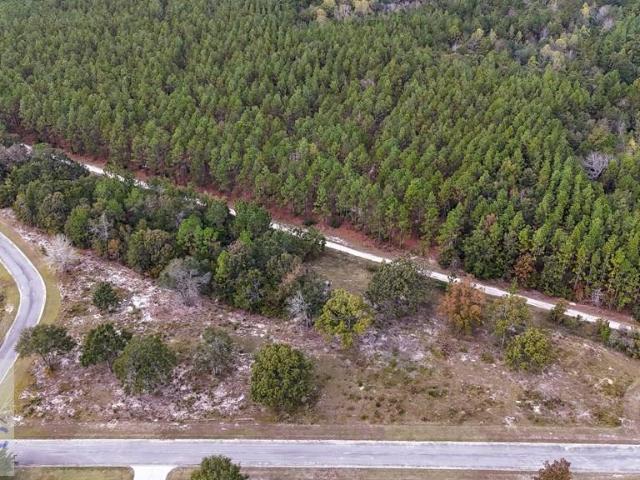 Land for sale in Jesup, Georgia