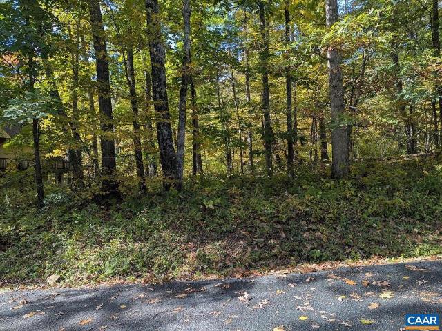 Land for sale in Wintergreen, Nelson County