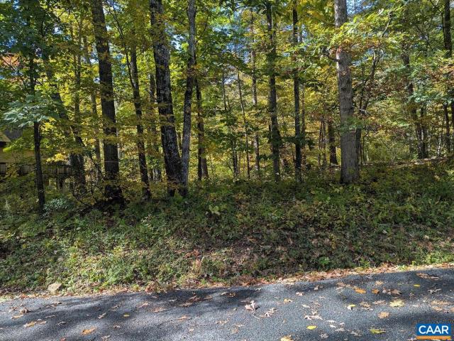 Land for sale in Wintergreen, Nelson County