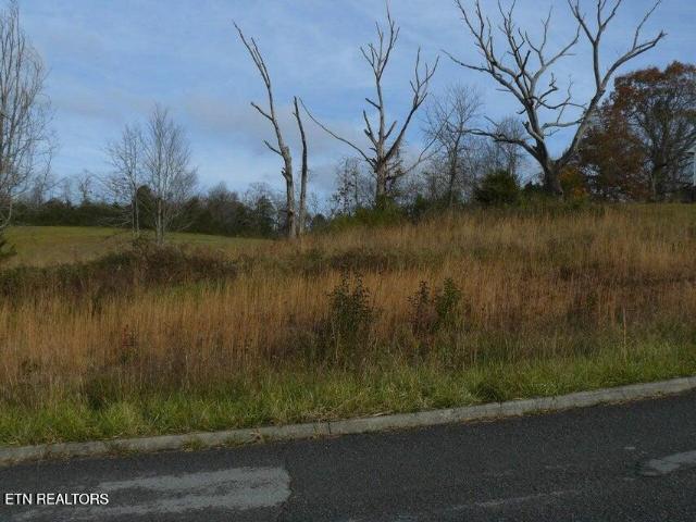 Land for sale in Tennessee