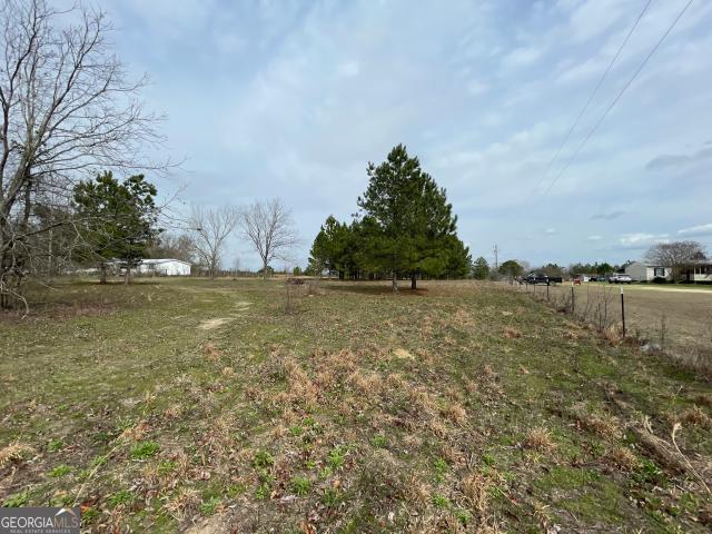 Land for sale in Cochran, Georgia