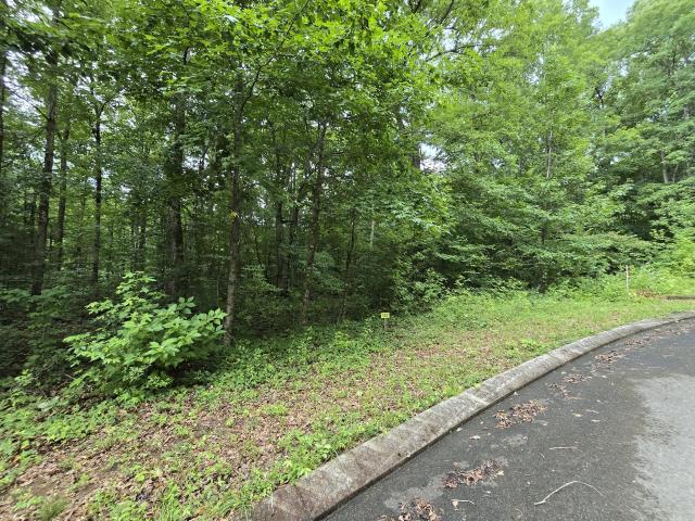 Land for sale in Tennessee