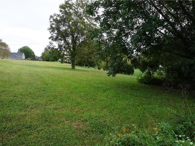 Land for sale in Lexington, Davidson County