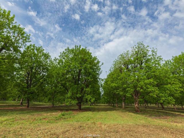 Land for sale in Brownwood, Texas