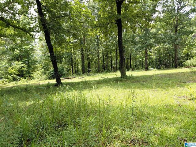 House for sale in Blount, Alabama