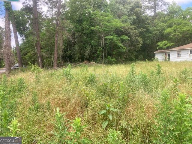 Land for sale in Baldwin, Georgia