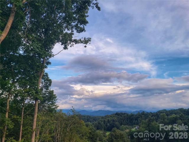 Land for sale in Mars Hill, North Carolina
