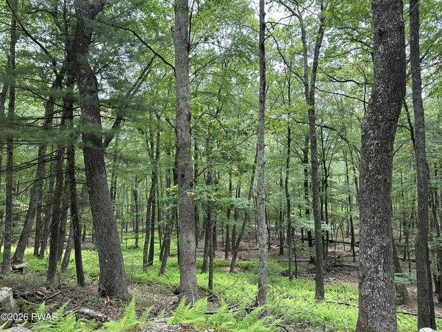 Land for sale in Hawley, Pennsylvania