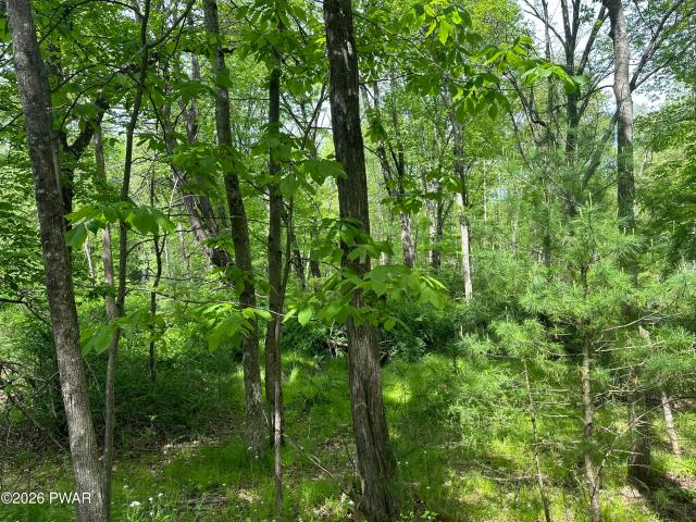 Land for sale in Beach Lake, Pennsylvania